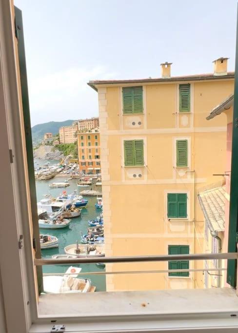 Apartament Attico Sul Porticciolo Antico Di Camogli Zewnętrze zdjęcie